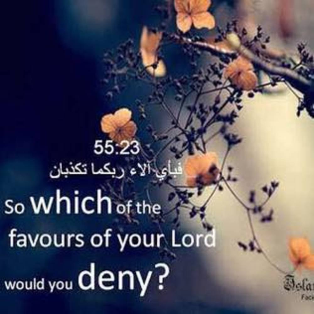 Meet your Posher, Huma